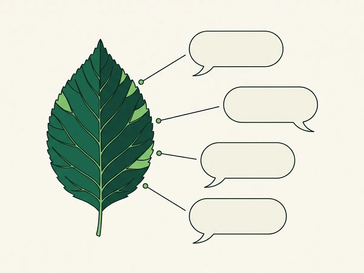 A green leaf with four lines running from its edge to four blank speech bubbles.