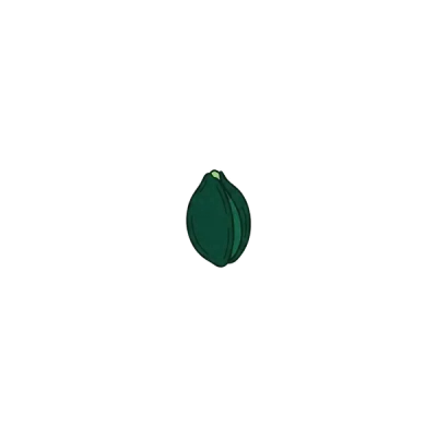 A closed seed.