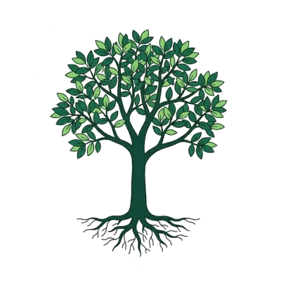 A young tree with a rounded crown and spreading roots.