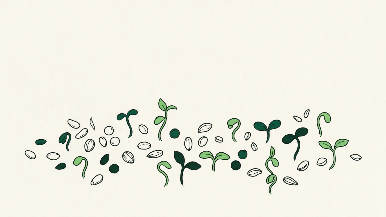 Many different seeds and tiny seedlings scattered in a loose band.